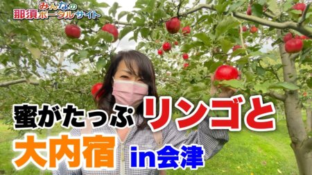 <10/28>那須ポータルサイト「秋の奥会津」へ、リンゴ狩りと大内宿の旅