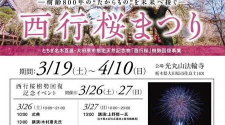 【3/26・27】西行桜祭り復樹記念イベント in 光丸山法輪寺